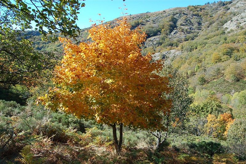 Bien-être en Pays Cévenol