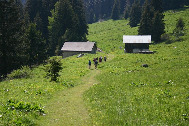 À trois petits pas du Mont-Blanc