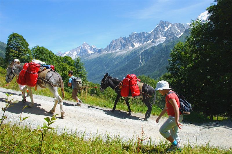 À trois petits pas du Mont-Blanc