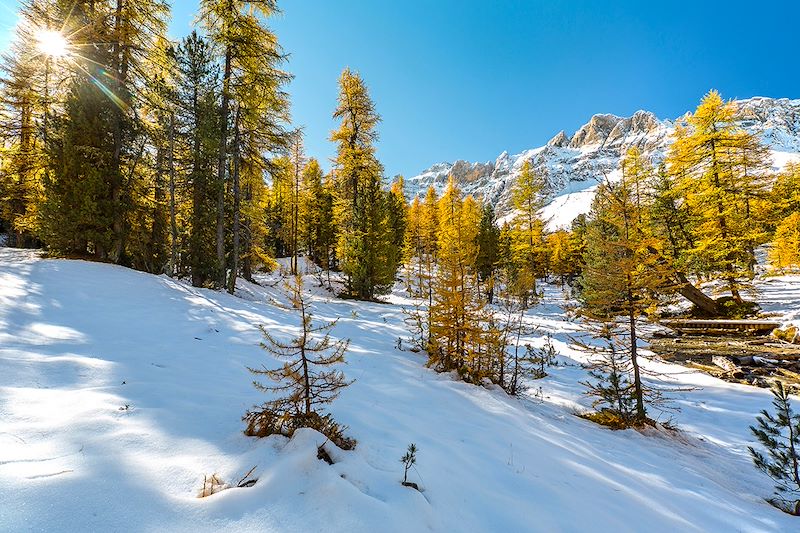 Parc naturel Régional du Queyras - France