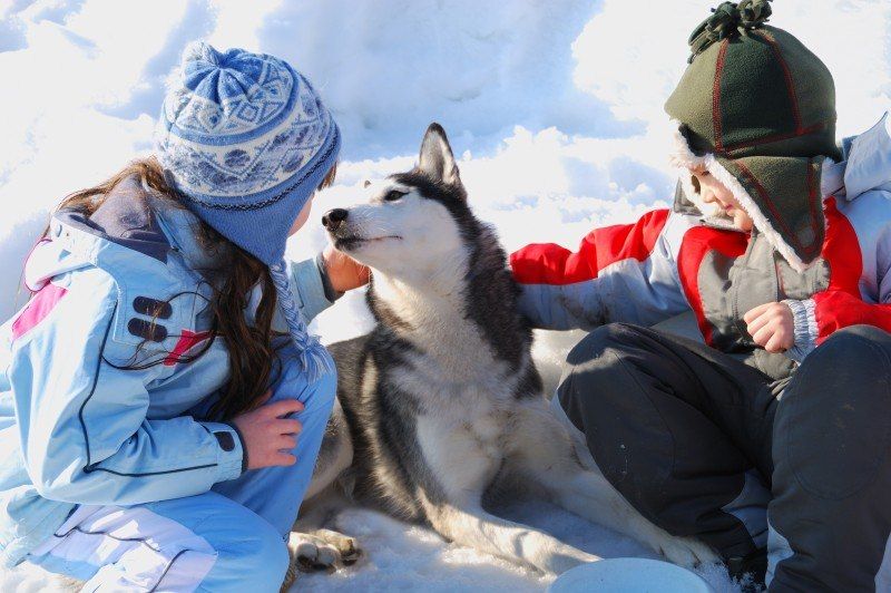 Multiactivité neige famille dans le Queyras !