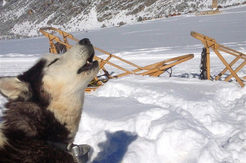 Multiactivité neige famille dans le Queyras