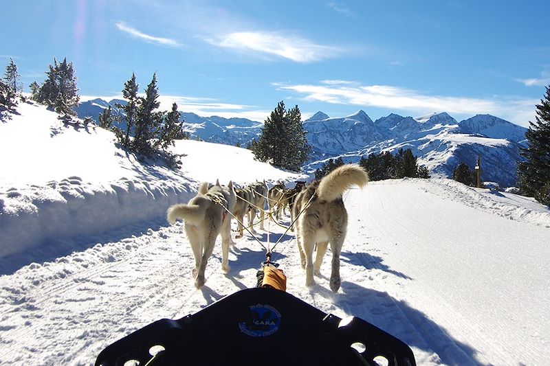 Traineau à chiens