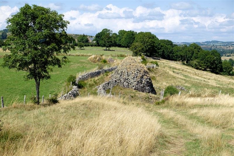 Paysage d'Aubrac - Auvergne - France