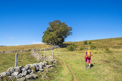 voyage Aubrac chlorophylle 