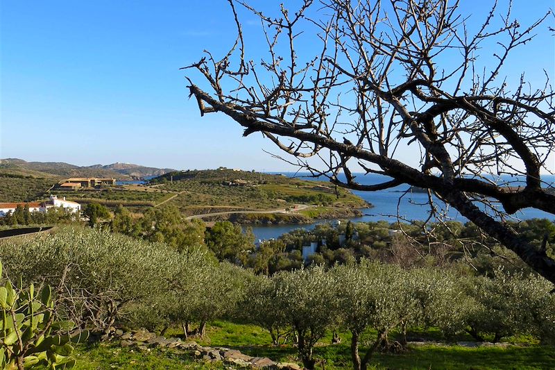 Réveillon à Cadaqués !