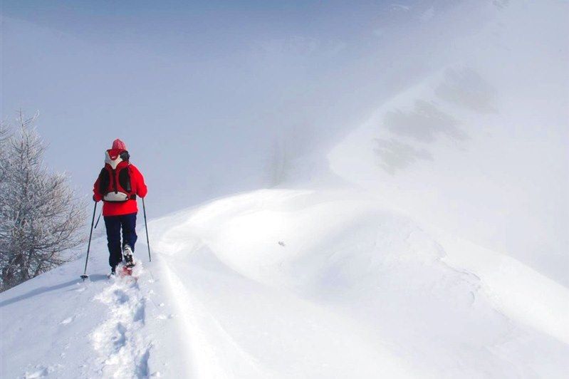 Le Grand Paradis en raquettes