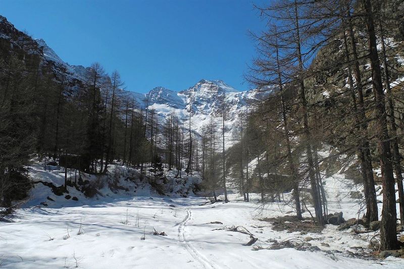 Le Grand Paradis en raquettes