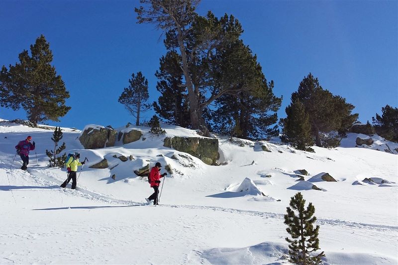 Les flocons d'Andorre