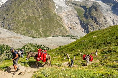 voyage Le Grand Paradis des ânes 