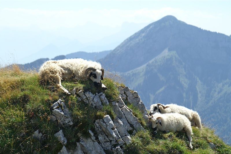 Tour de la Chartreuse