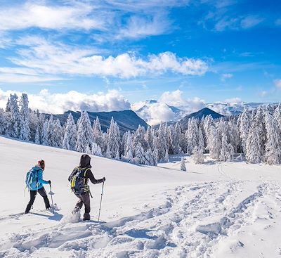  Voyage Alpes