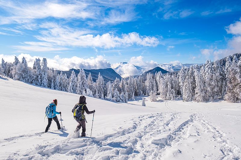 Un séjour hivernal unique, de gîte en gîte, au rythme des raquettes et de l’air pur des Alpes
