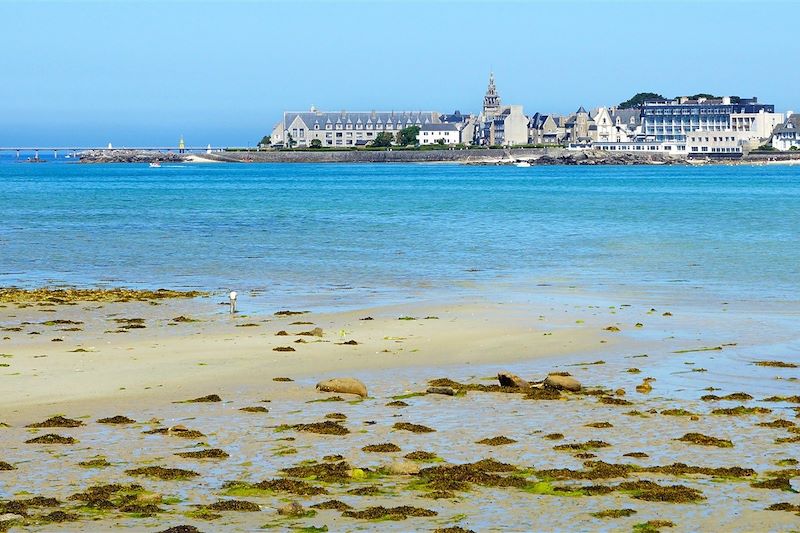 Balades, spa marin et méditations bretonnes