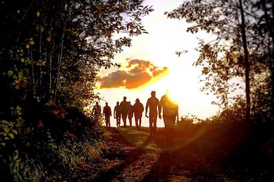 voyage Survivre en pleine forêt en Île-de-France