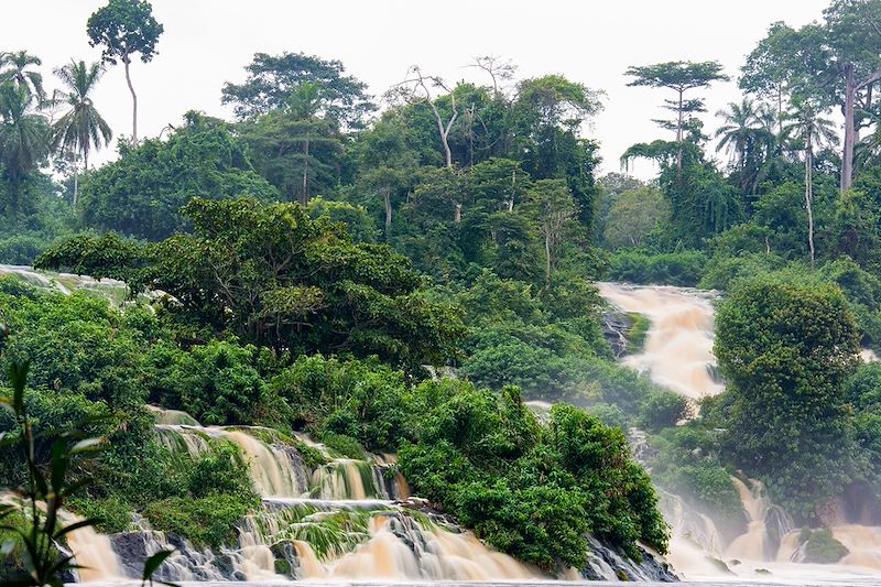 Cascades de Kongou dans le Parc national de l'Ivindo - Gabon