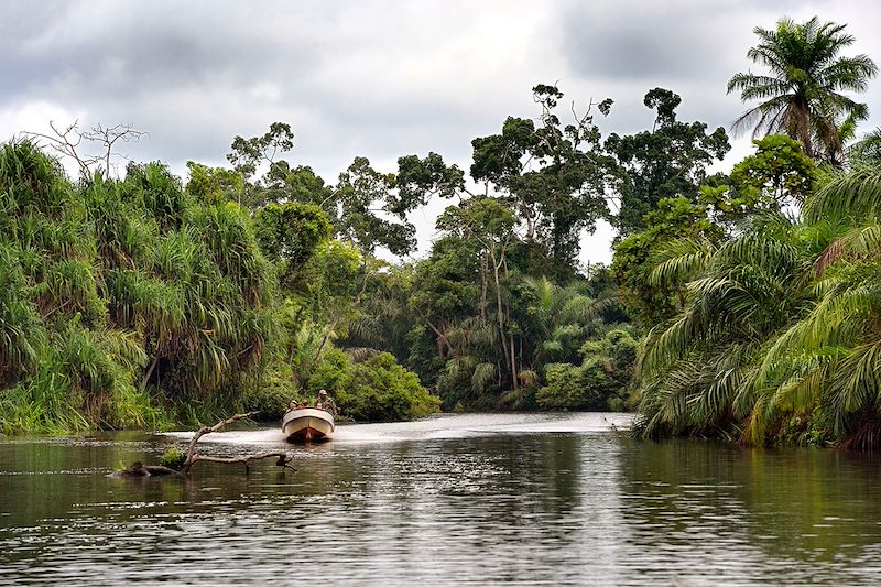 Safari au Gabon et trek gorilles, de Moukalaba-Doudou au Loango, avec exploration en pirogue, randonnée et bivouac en forêt