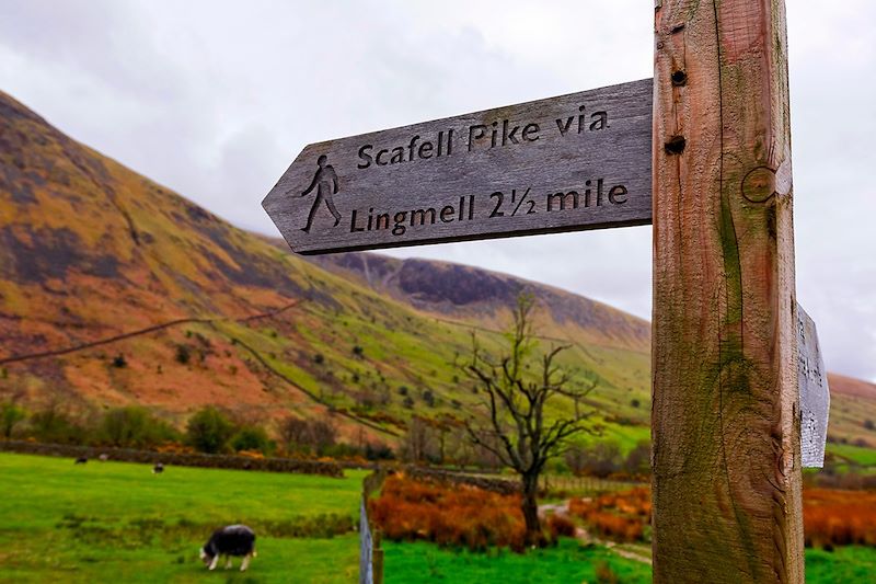 Chemin de randonnée vers Scafell Pike - Lake District - Angleterre