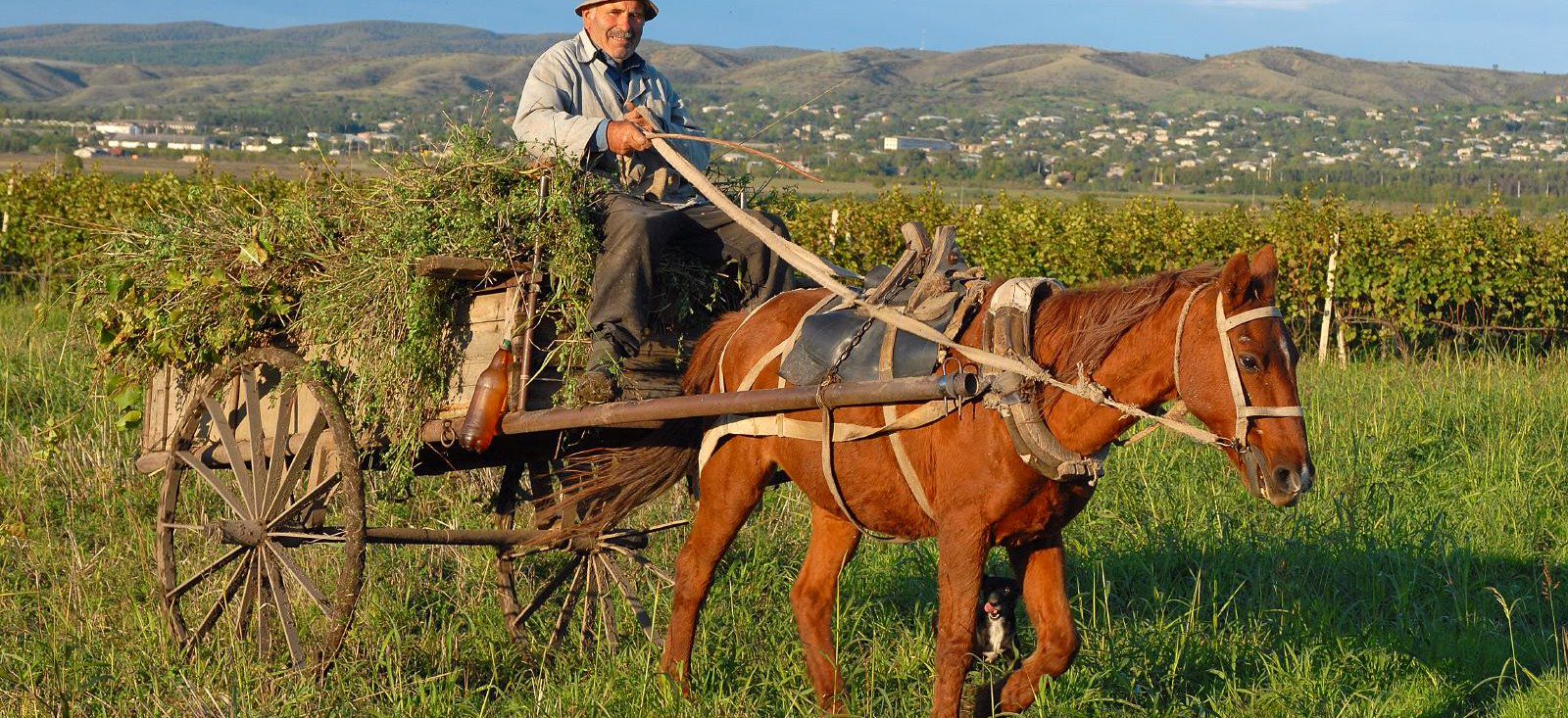 Image Odyssée en terre géorgienne