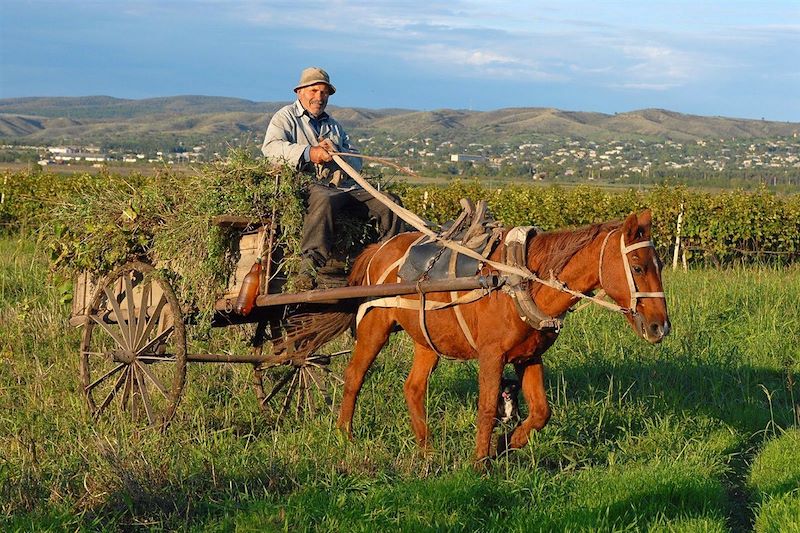 Agriculteur en Kakhétie - Géorgie