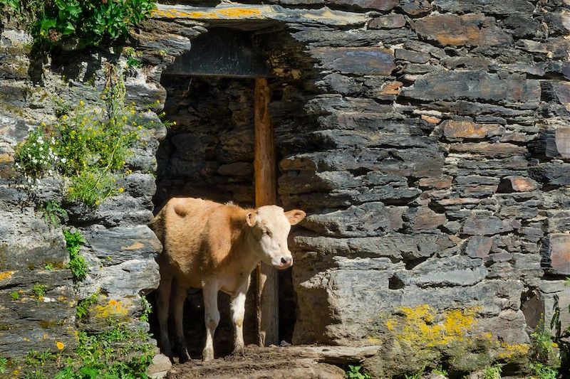 Trek aux confins du Caucase