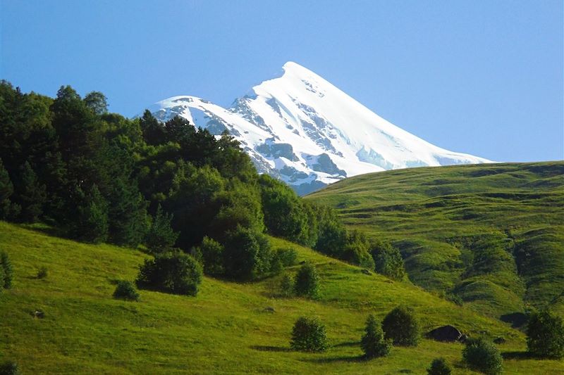 Mont Tetnuldi - Géorgie