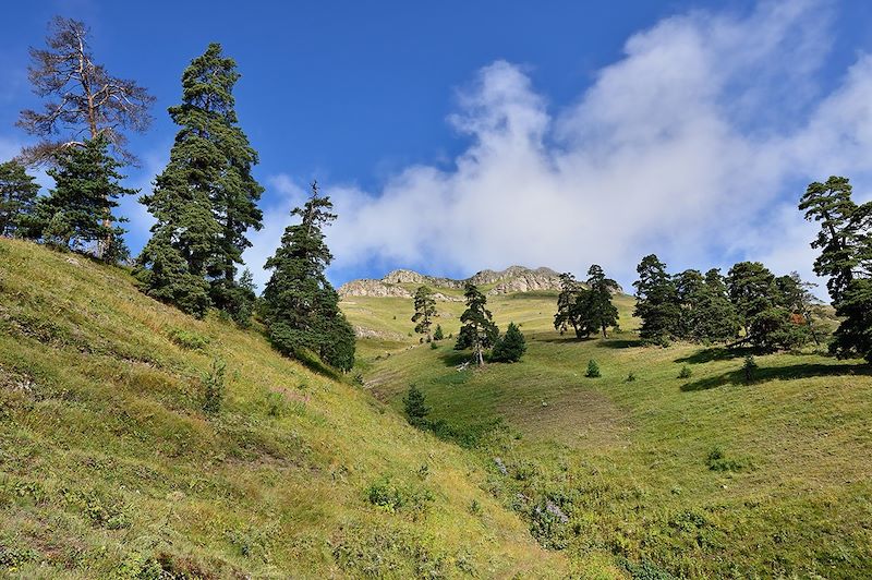 Parc national de Bordjomi-Kharagaouli - Géorgie