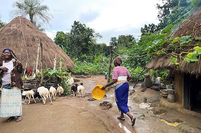 voyage Guinée