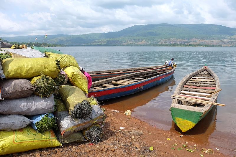 Marché de Samaya - Guinée