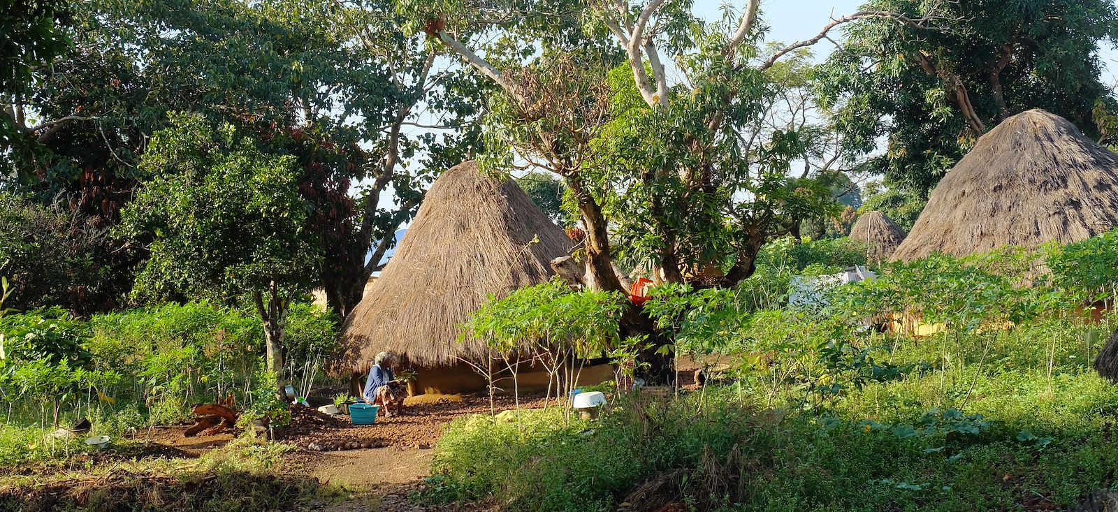 Image La Guinée, entre randos & rencontres !