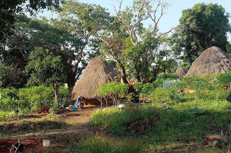 Village d'Aïnguel - Guinée
