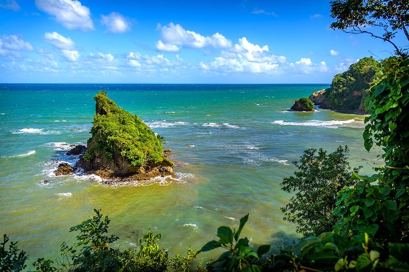 Paysage en Dominique