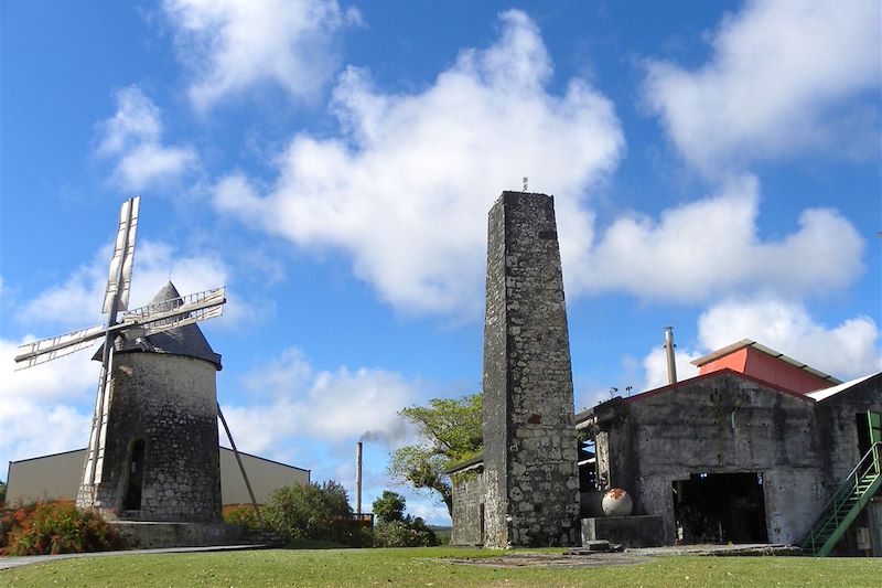 Rhumerie Habitation Bellevue à Capesterre - Marie-Galante - Guadeloupe