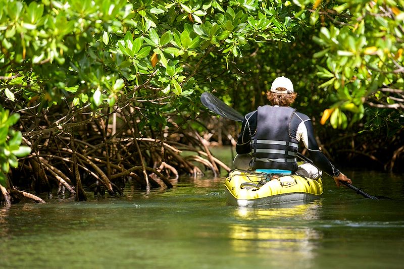 Canoë-kayak dans la mangrove - Guadeloupe