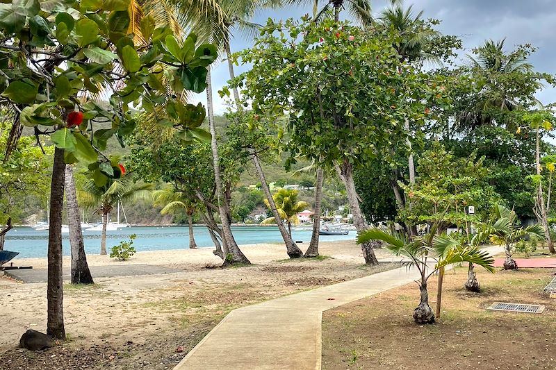 Chemin accessible de la plage de Deshaies - Guadeloupe