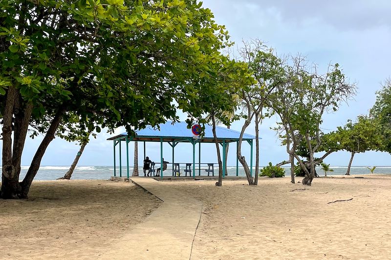 Chemin accessible de la plage de l'Autre Bord - Le Moule - Guadeloupe