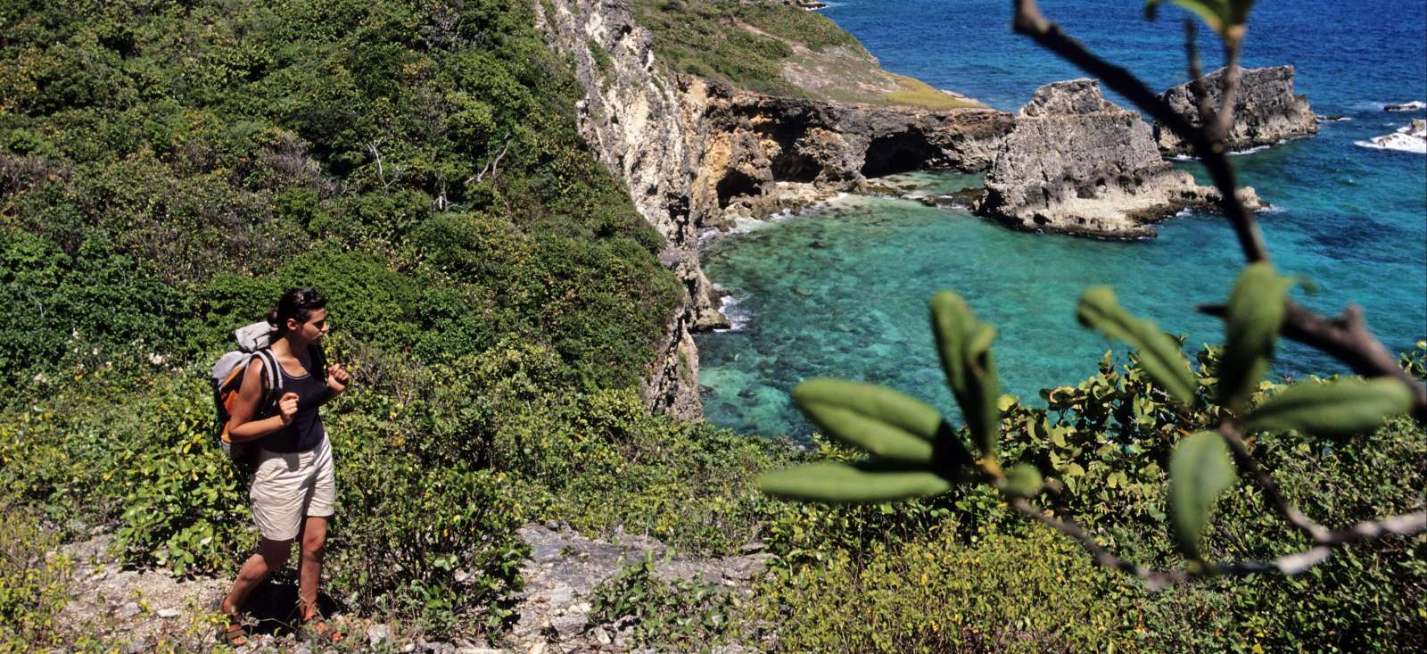 Trek - Les paradis d\'île en île...