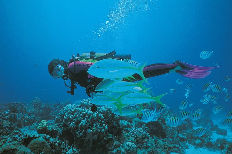 Plongeur - Guadeloupe