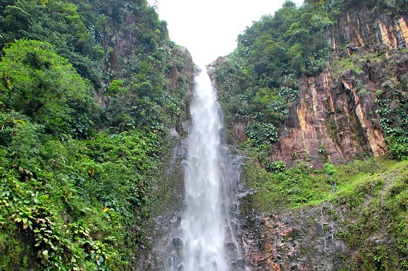 Chutes du Carbet - Ile de Basse-Terre - Guadeloupe