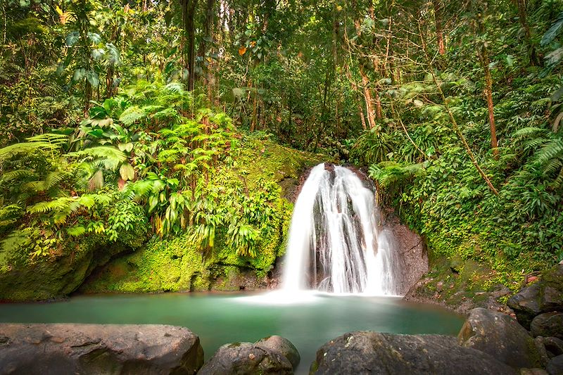 Cascade aux écrevisses - Basse-Terre - Guadeloupe