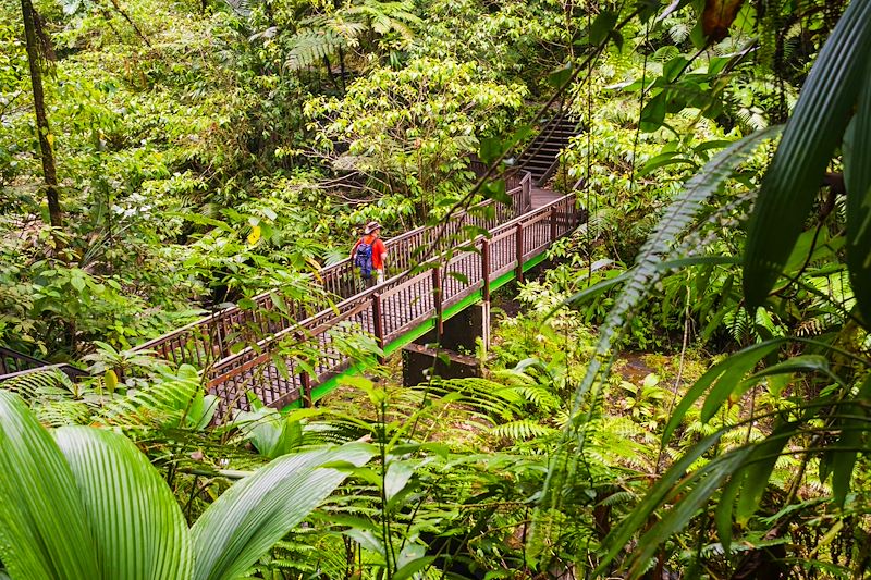 Randonneur dans le Parc national de Guadeloupe - Basse-Terre - Guadeloupe