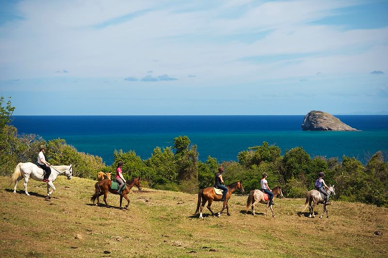 Balade à cheval - Guadeloupe