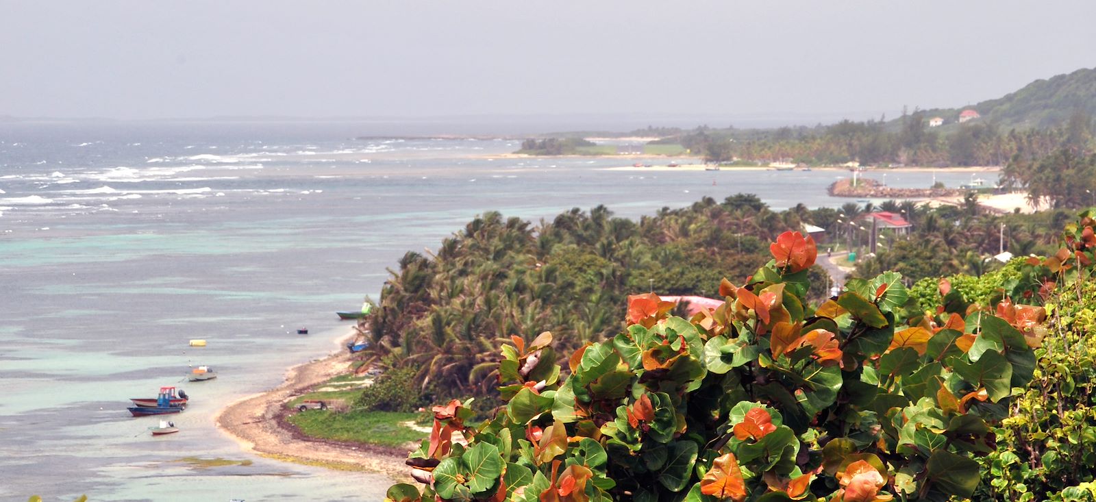Image Paradis guadeloupéen
