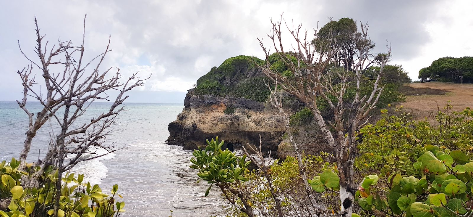 Image Paradis guadeloupéen