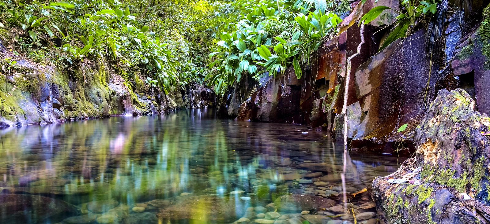 Image Paradis guadeloupéen