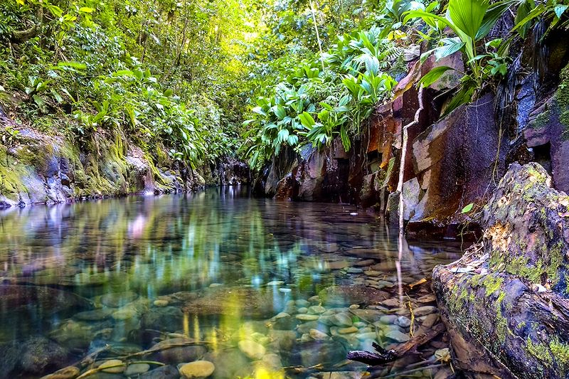 Début du canyon de la rivière Moustique - Petit Bourg - Guadeloupe