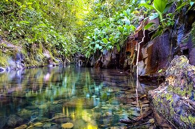 Paradis guadeloupéen  3
