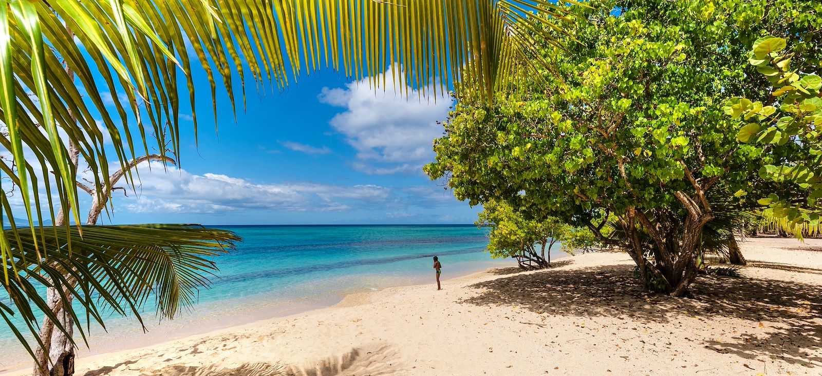 Image Paradis guadeloupéen