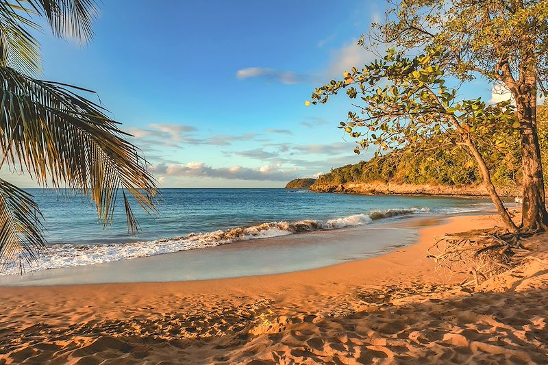 Plage de la Perle - Basse-Terre - Guadeloupe