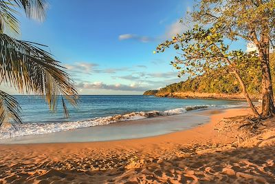 Paradis guadeloupéen  2